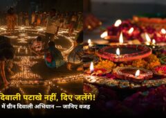 इस दिवाली पटाखे नहीं जलेंगे! WWF-India ने शुरू किया ग्रीन दिवाली अभियान, जानिए प्लान