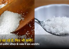 नमक खा रहे हैं, फिर भी कमी! हर तीसरे ग्रामीण परिवार के नमक में आयोडीन की ये चौंकाने वाली हकीकत