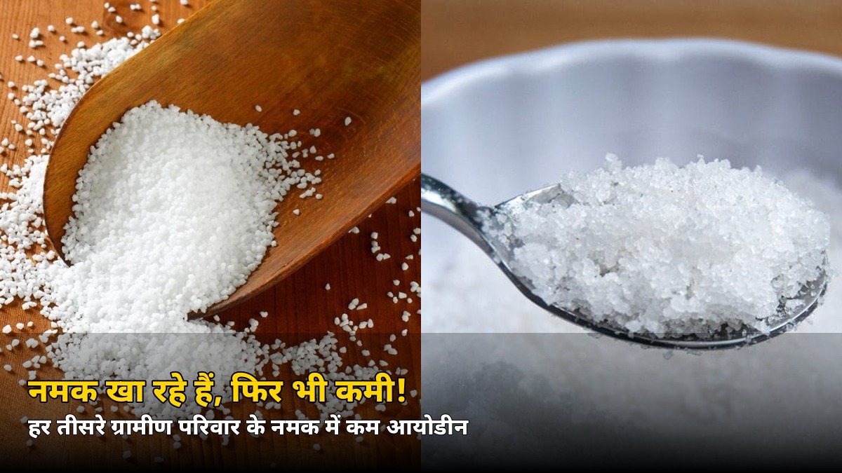 नमक खा रहे हैं, फिर भी कमी! हर तीसरे ग्रामीण परिवार के नमक में आयोडीन की ये चौंकाने वाली हकीकत
