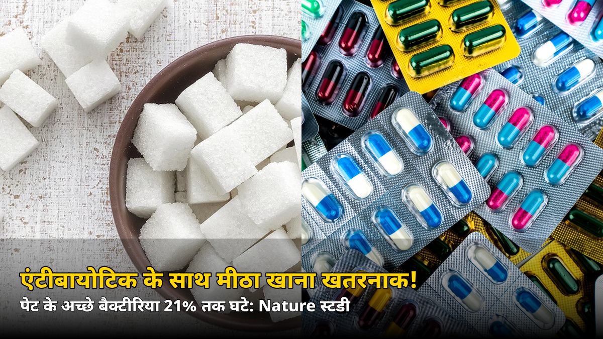 एंटीबायोटिक के साथ मीठा खाना पड़ सकता है भारी? पेट के बैक्टीरिया पर Nature स्टडी का चौंकाने वाला दावा