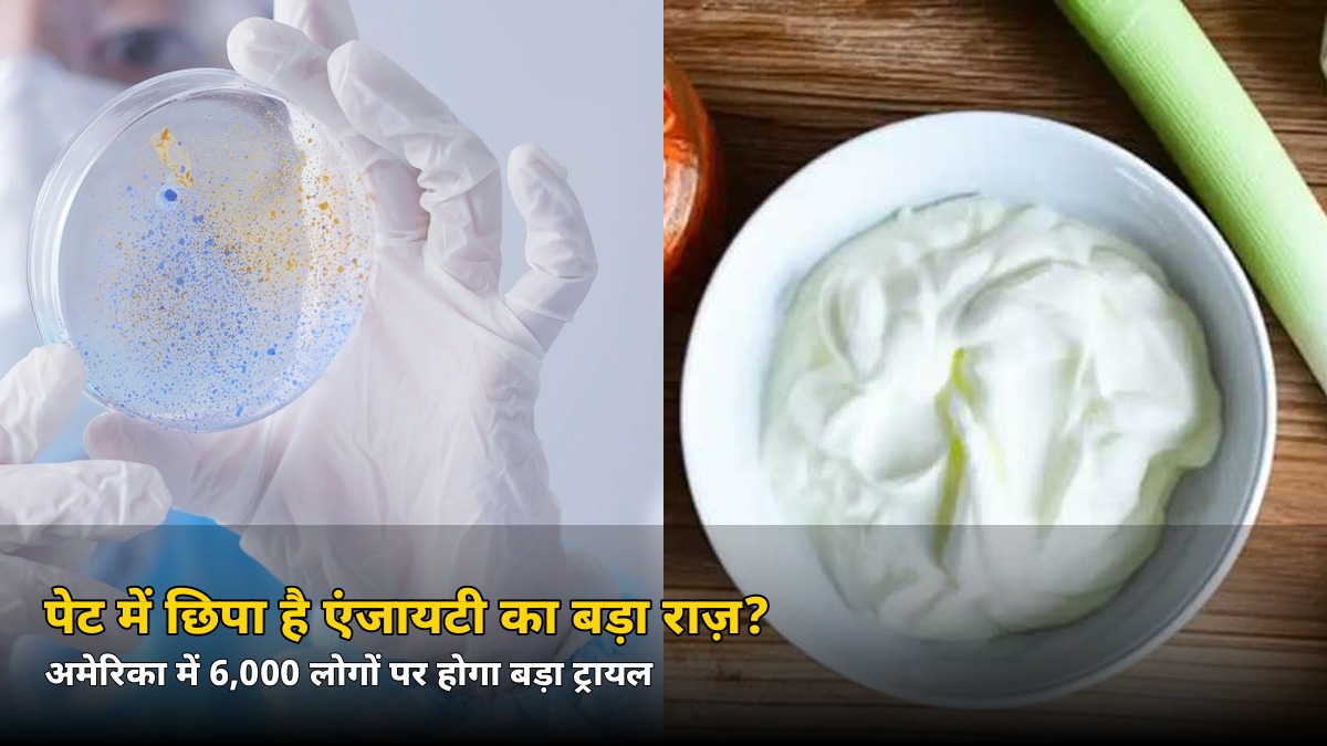 पेट में छिपा है एंजायटी का राज़? अमेरिका में 6,000 लोगों पर होगा गट-ब्रेन एक्सिस का सबसे बड़ा ट्रायल